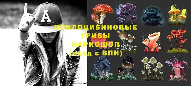 Галлюциногенные грибы Magic Shrooms  Назрань 